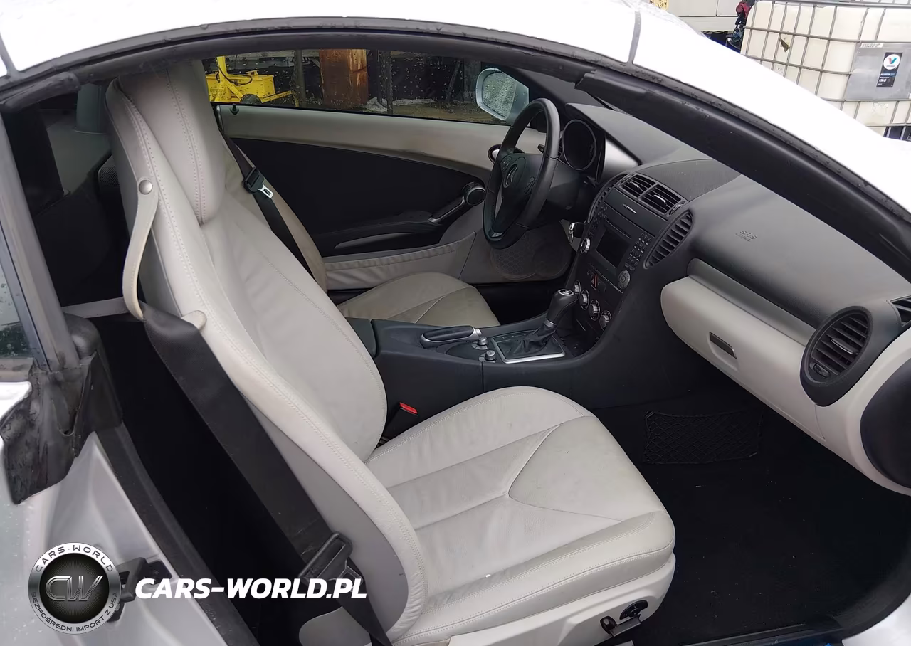 2009 Mercedes-Benz Slk 300 VIN:WDBWK54F69F192646 - 5