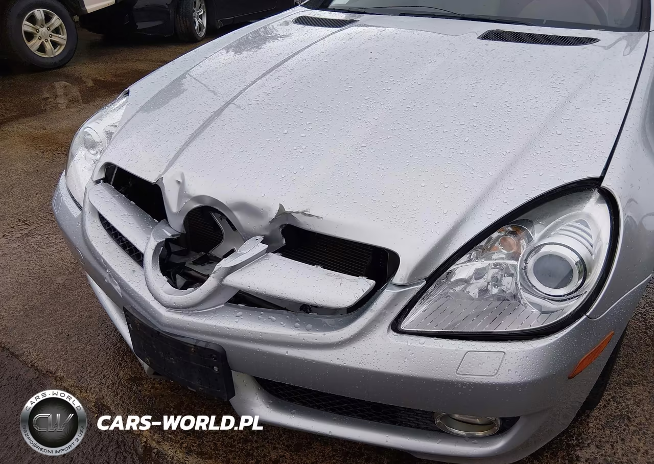 2009 Mercedes-Benz Slk 300 VIN:WDBWK54F69F192646 - 6