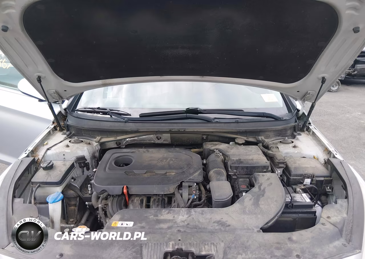 2016 Hyundai Sonata Se VIN:5NPE24AF4GH386977 - 10