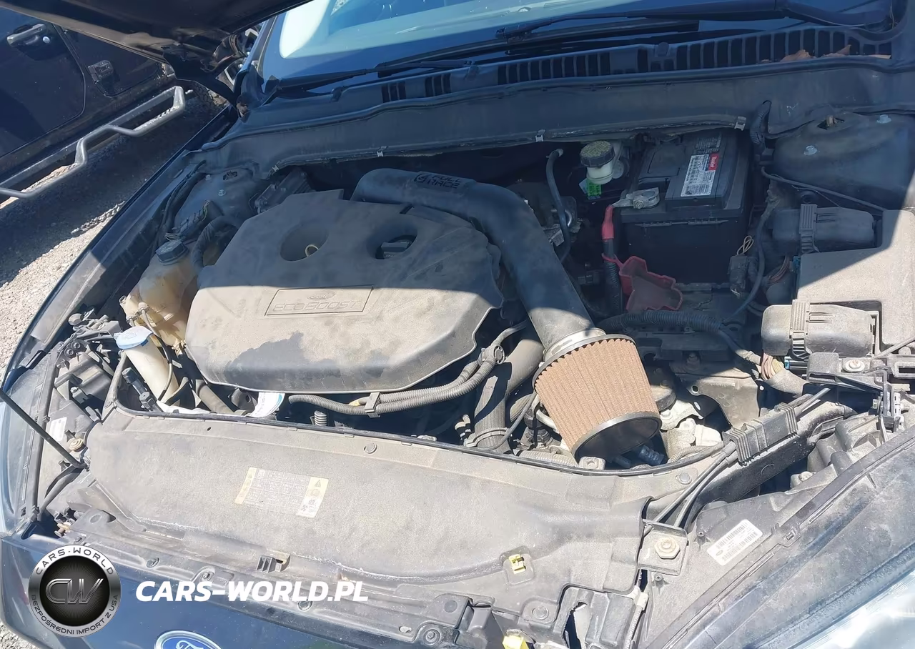 2014 Ford Fusion Titanium VIN:3FA6P0D97ER288224 - 10