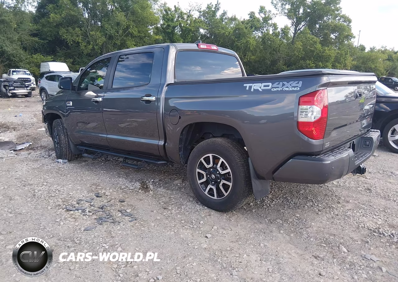 2021 Toyota Tundra 1794 Edition VIN:5TFAY5F12MX018359 - 3