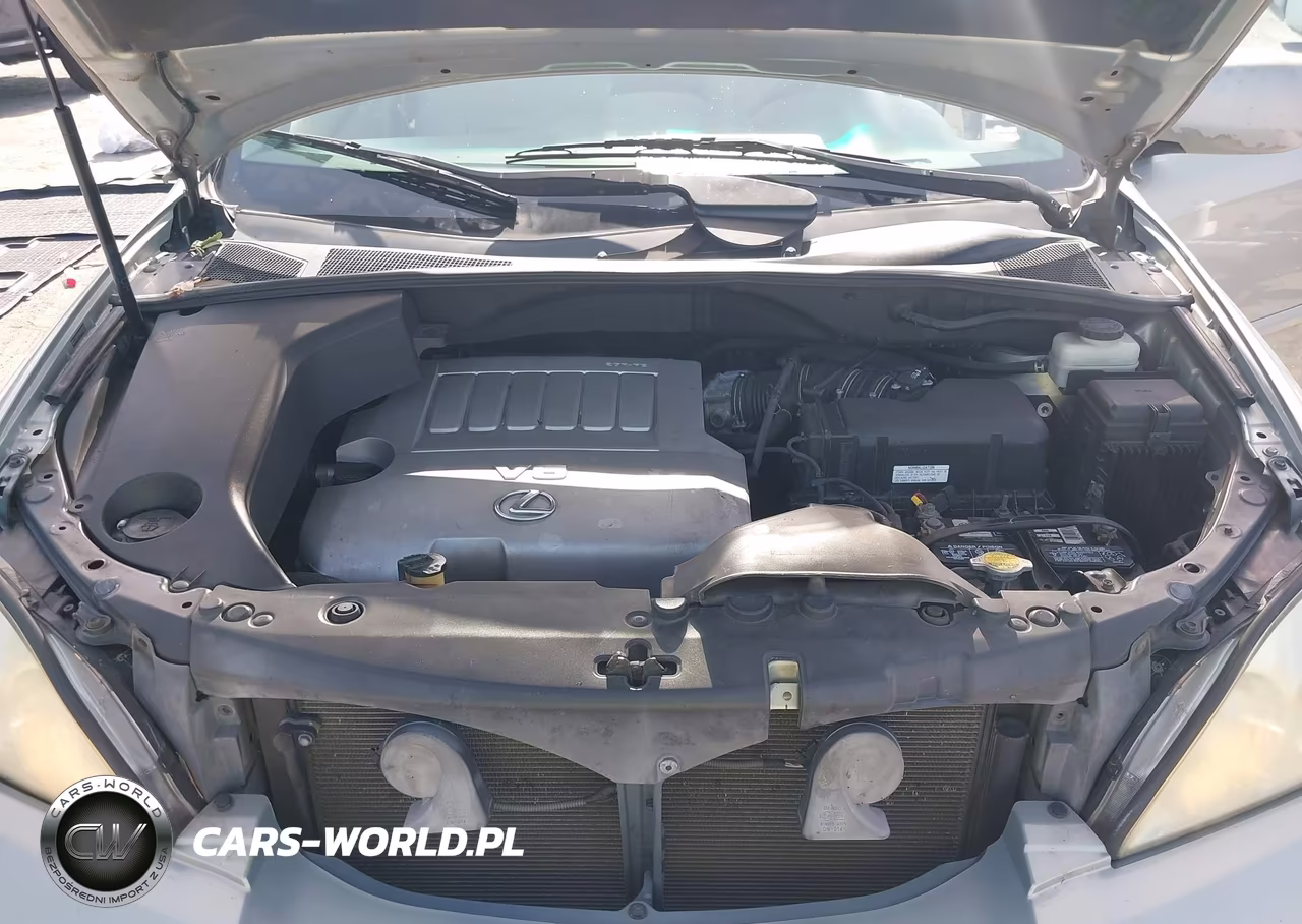 2007 Lexus Rx 350 VIN:2T2GK31U47C022607 - 10