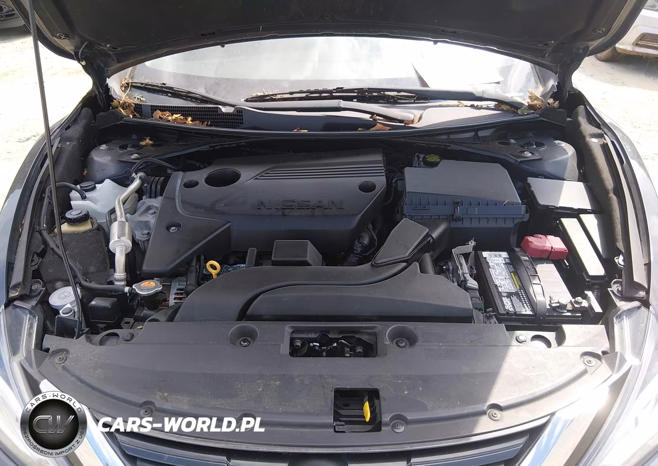 2018 Nissan Altima 2.5 Sv VIN:1N4AL3AP6JC243102 - 10