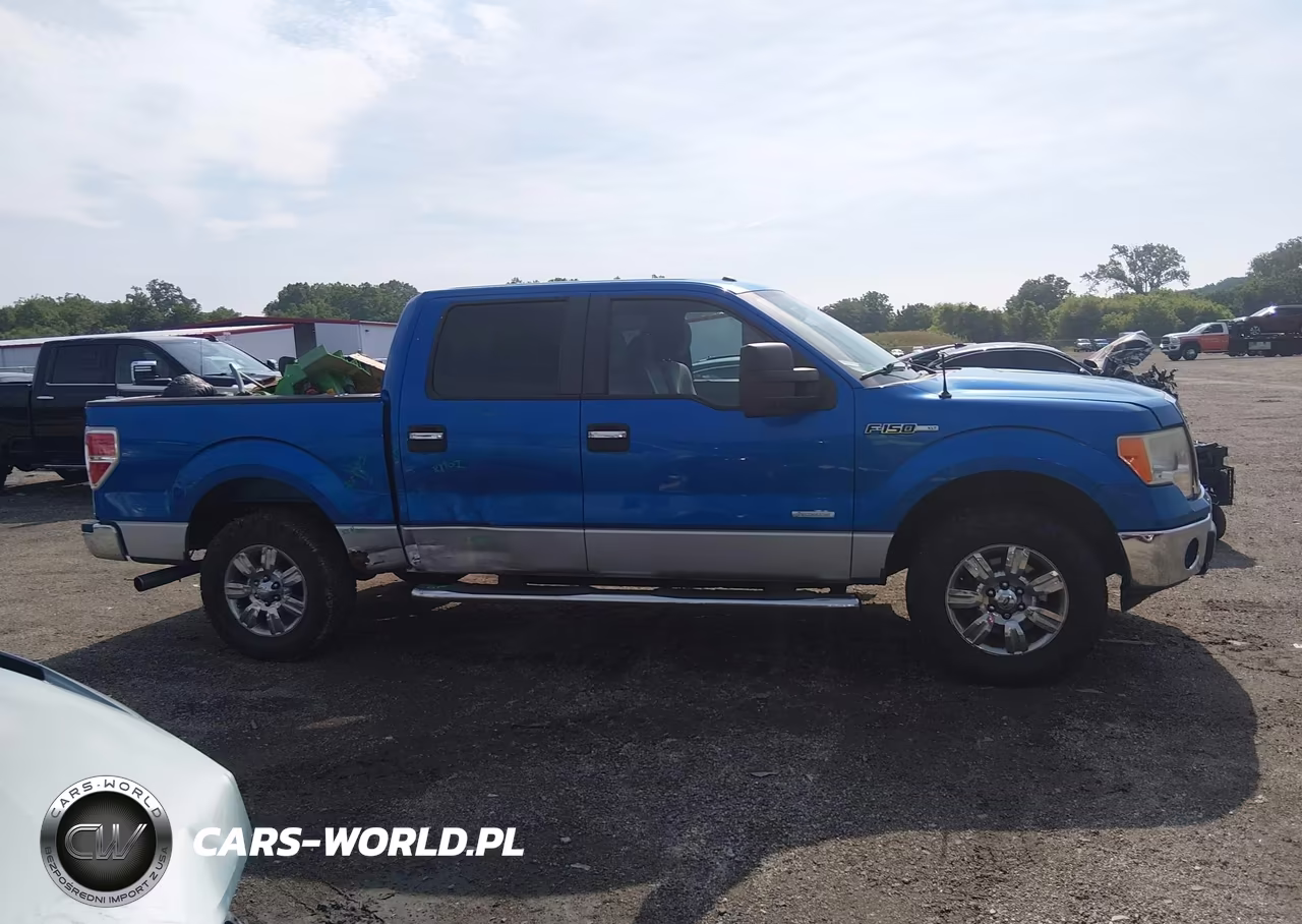 2011 Ford F-150 Xlt VIN:1FTFW1ET1BFC10883 - 13