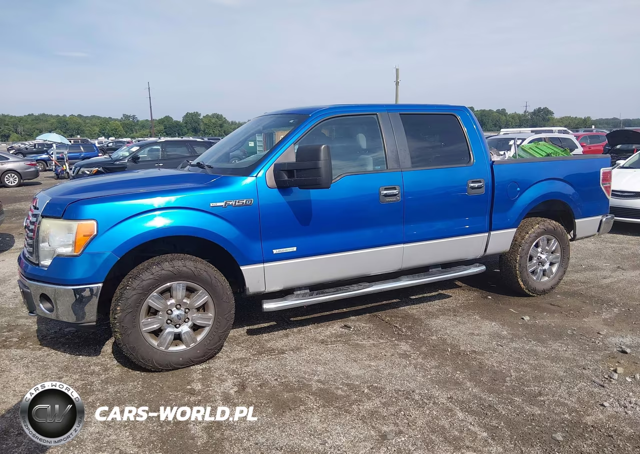 2011 Ford F-150 Xlt VIN:1FTFW1ET1BFC10883 - 2