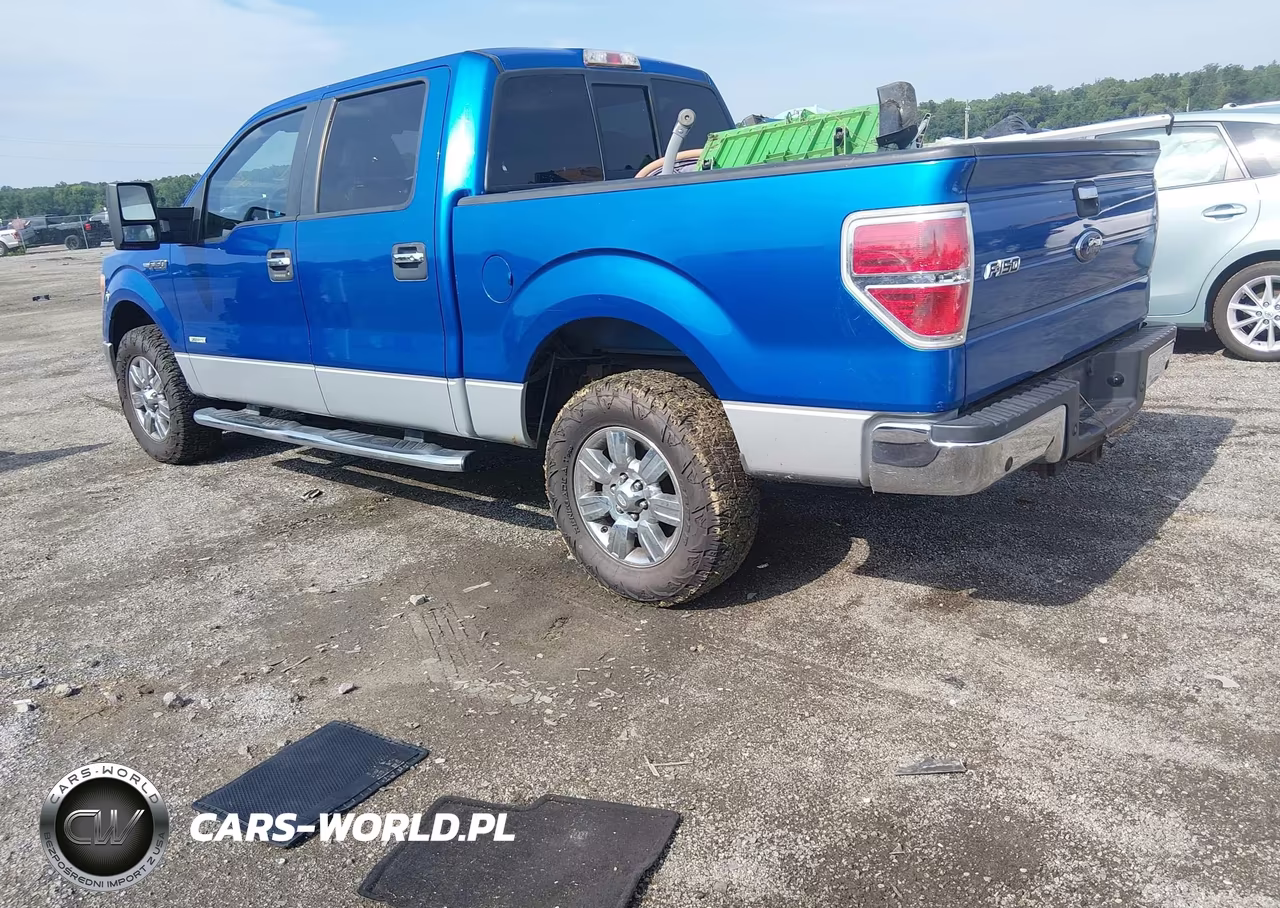 2011 Ford F-150 Xlt VIN:1FTFW1ET1BFC10883 - 3