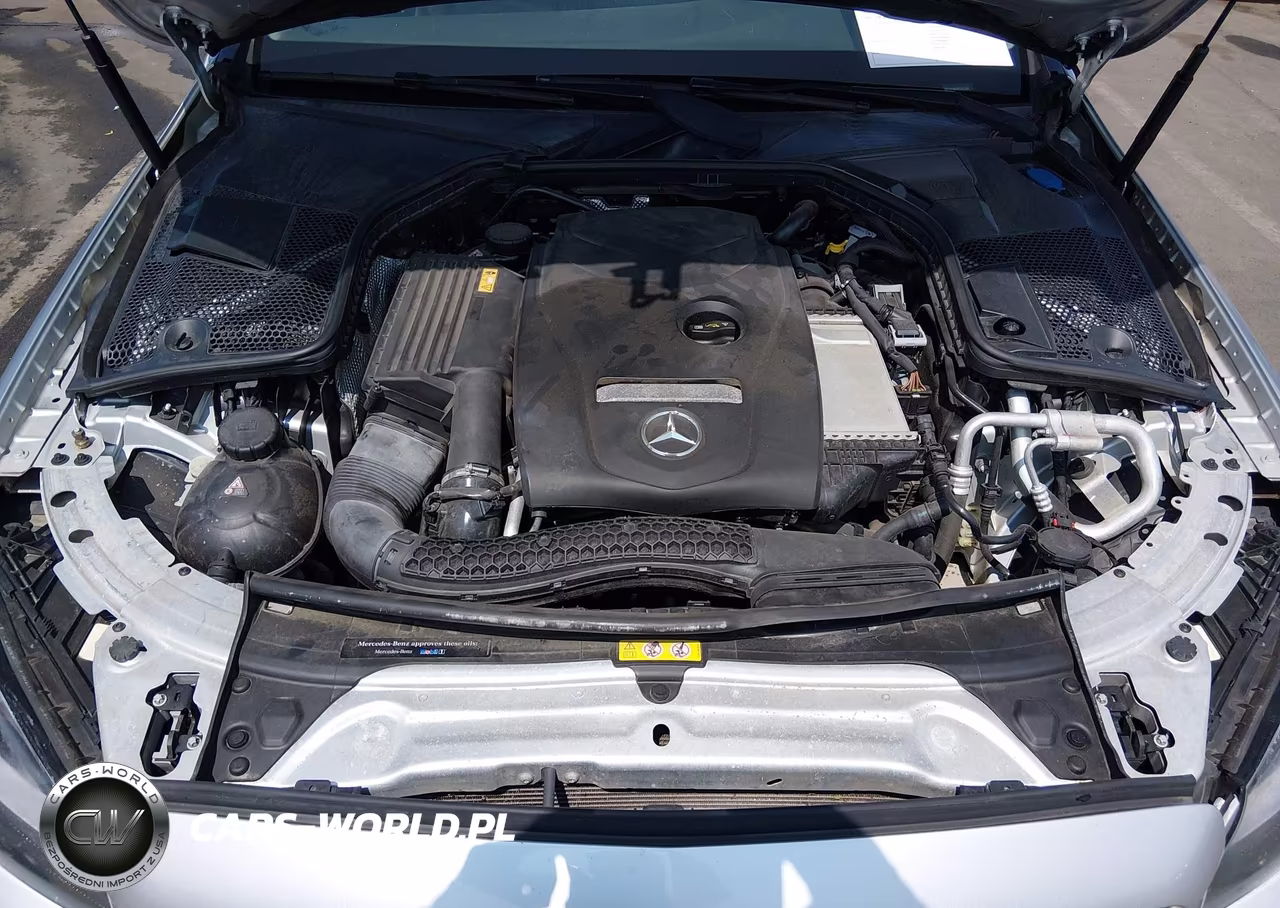 2017 Mercedes-Benz C 300 4Matic VIN:55SWF4KB5HU181509 - 10
