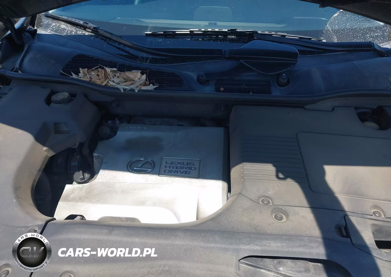 2010 Lexus Rx 450H VIN:JTJBC1BA2A2405162 - 10
