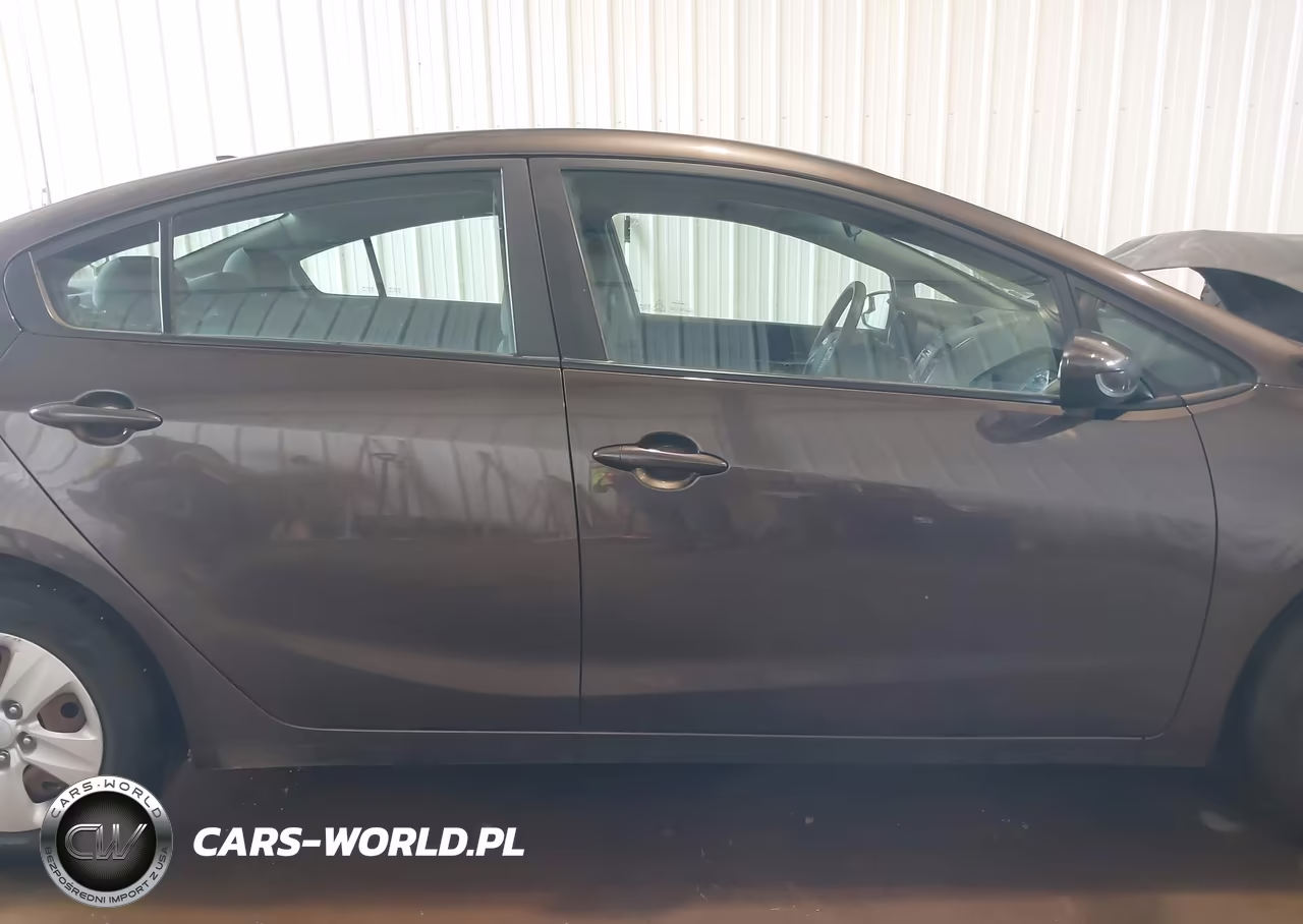 2017 Kia Forte Lx VIN:3KPFL4A70HE091164 - 13