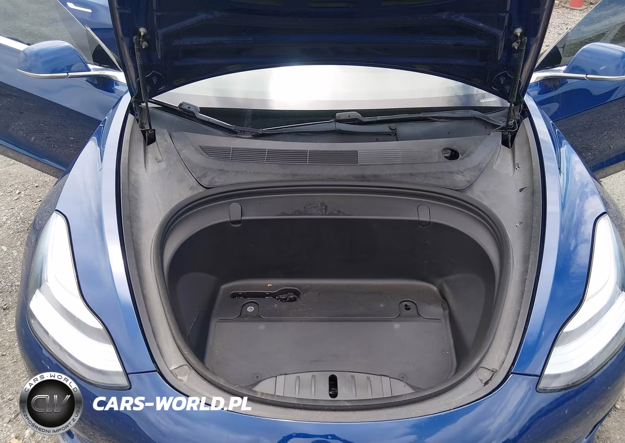 2019 Tesla Model 3 Long Range-Mid Range-Standard Range-Standard Range Plus VIN:5YJ3E1EA1KF425012 - 10