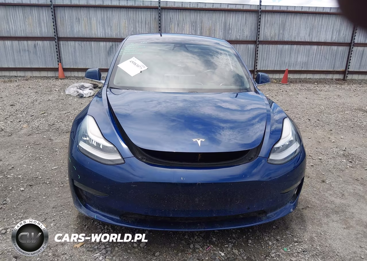 2019 Tesla Model 3 Long Range-Mid Range-Standard Range-Standard Range Plus VIN:5YJ3E1EA1KF425012 - 13