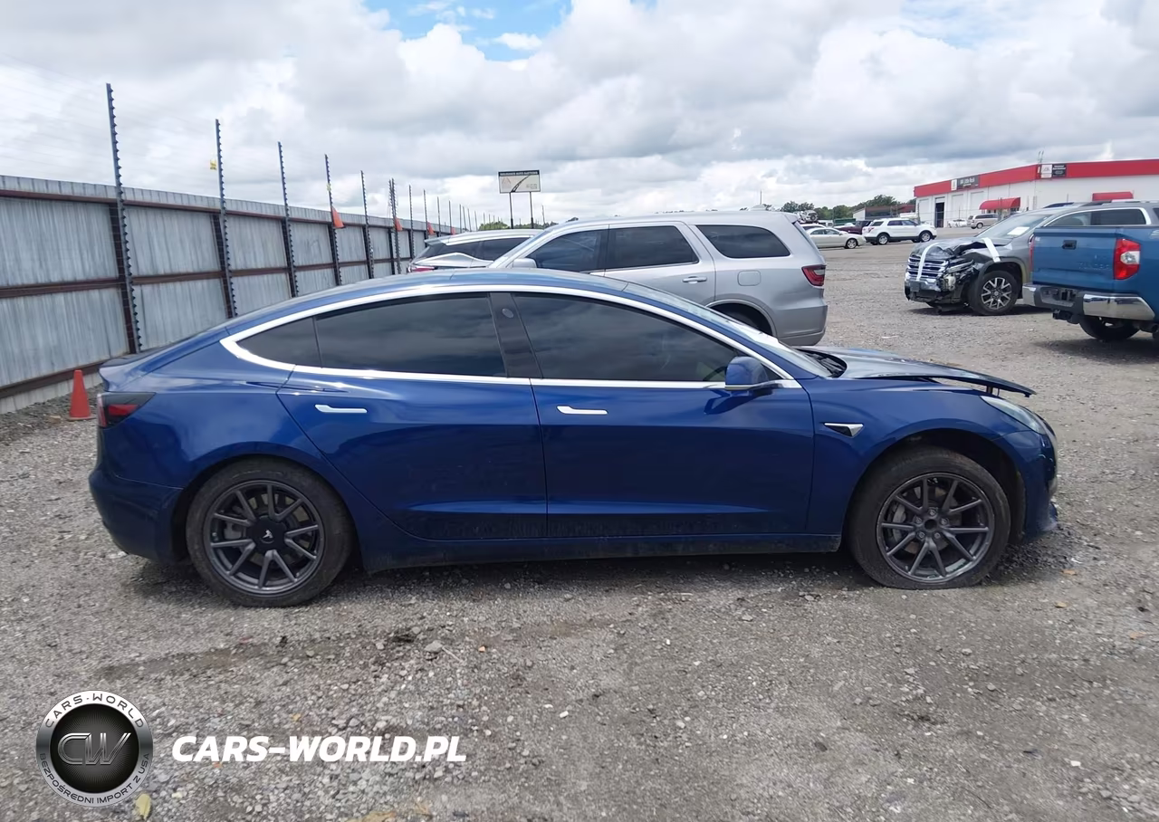2019 Tesla Model 3 Long Range-Mid Range-Standard Range-Standard Range Plus VIN:5YJ3E1EA1KF425012 - 14
