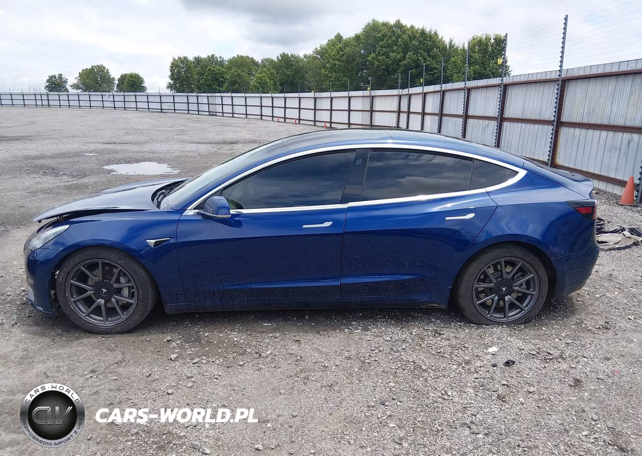 2019 Tesla Model 3 Long Range-Mid Range-Standard Range-Standard Range Plus VIN:5YJ3E1EA1KF425012 - 15
