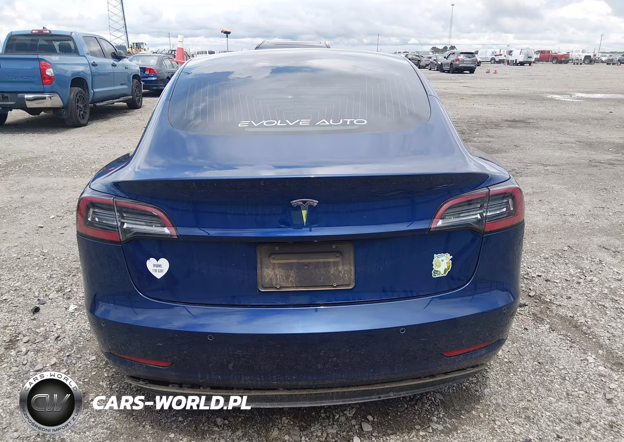 2019 Tesla Model 3 Long Range-Mid Range-Standard Range-Standard Range Plus VIN:5YJ3E1EA1KF425012 - 17