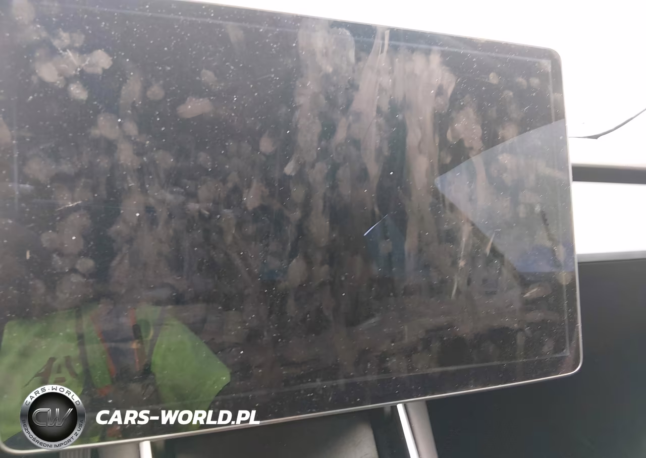 2019 Tesla Model 3 Long Range-Mid Range-Standard Range-Standard Range Plus VIN:5YJ3E1EA1KF425012 - 19