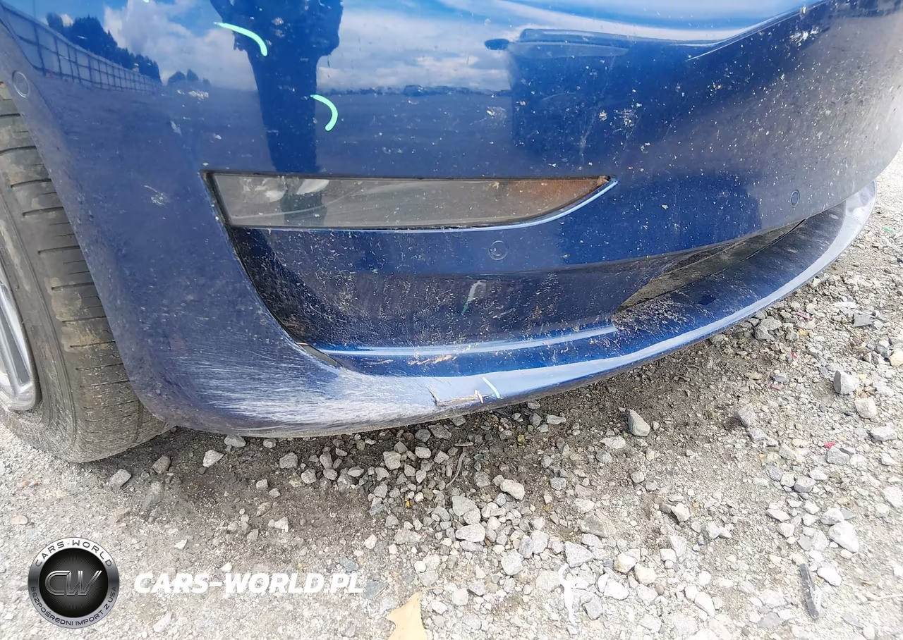 2019 Tesla Model 3 Long Range-Mid Range-Standard Range-Standard Range Plus VIN:5YJ3E1EA1KF425012 - 20