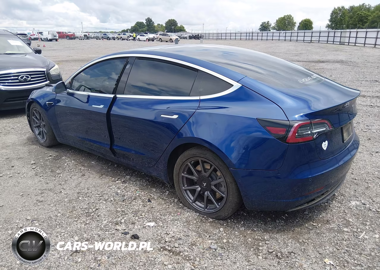 2019 Tesla Model 3 Long Range-Mid Range-Standard Range-Standard Range Plus VIN:5YJ3E1EA1KF425012 - 3