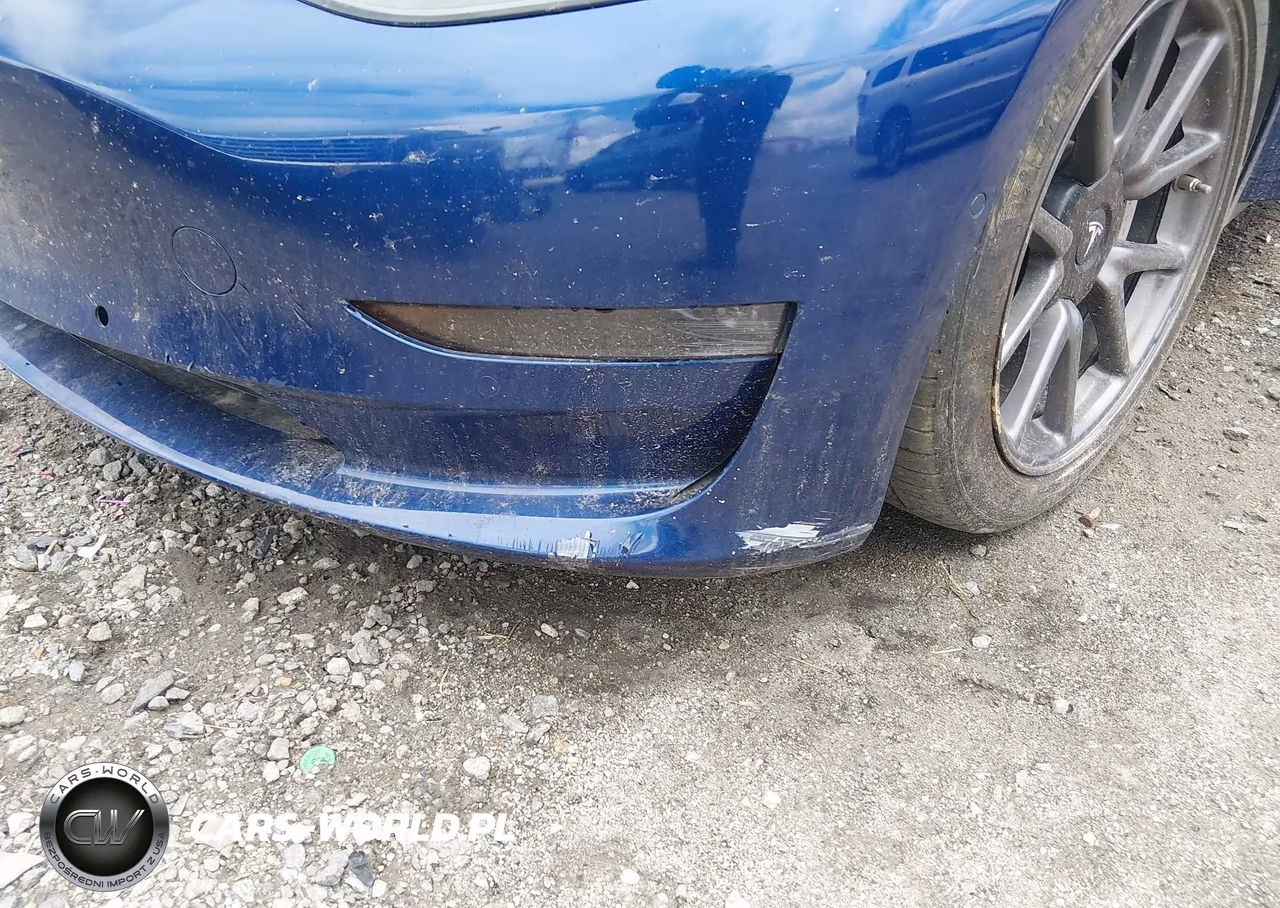 2019 Tesla Model 3 Long Range-Mid Range-Standard Range-Standard Range Plus VIN:5YJ3E1EA1KF425012 - 6