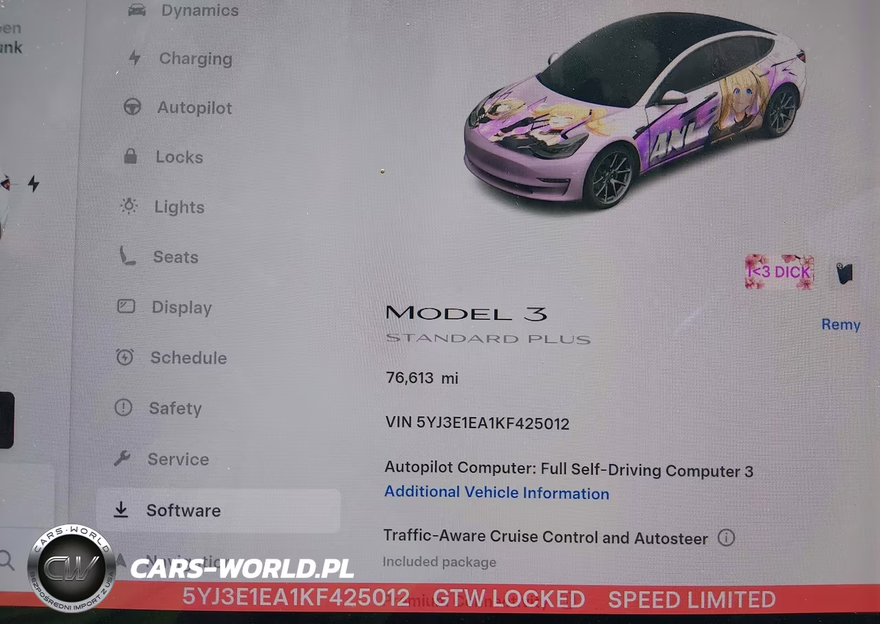 2019 Tesla Model 3 Long Range-Mid Range-Standard Range-Standard Range Plus VIN:5YJ3E1EA1KF425012 - 7