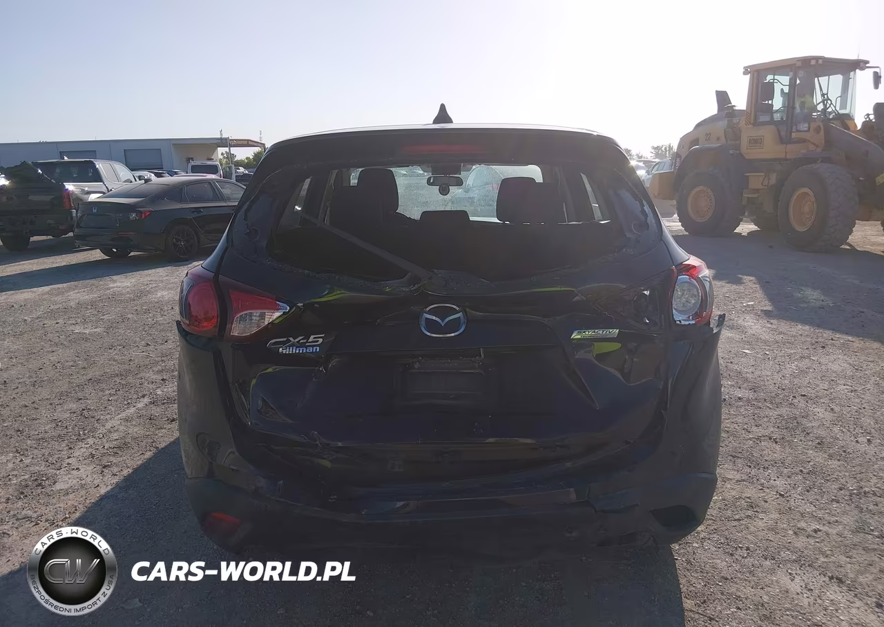 2014 Mazda Cx-5 Sport VIN:JM3KE2BE2E0301608 - 16