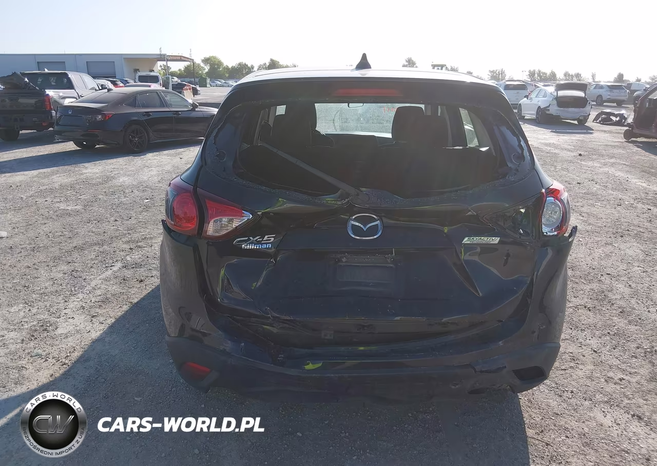2014 Mazda Cx-5 Sport VIN:JM3KE2BE2E0301608 - 6