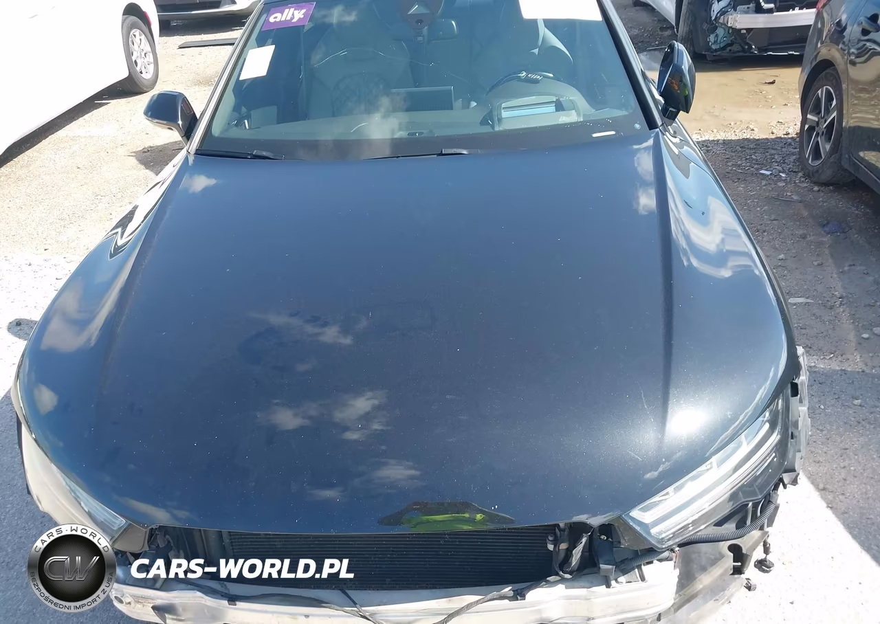 2017 Audi S7 4.0T Premium Plus VIN:WAU2FAFC1HN109674 - 10