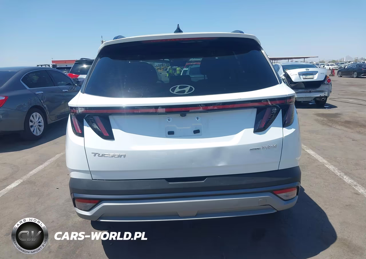 2025 Hyundai Tucson Hybrid Sel Convenience VIN:KM8JCDD16SU261808 - 16