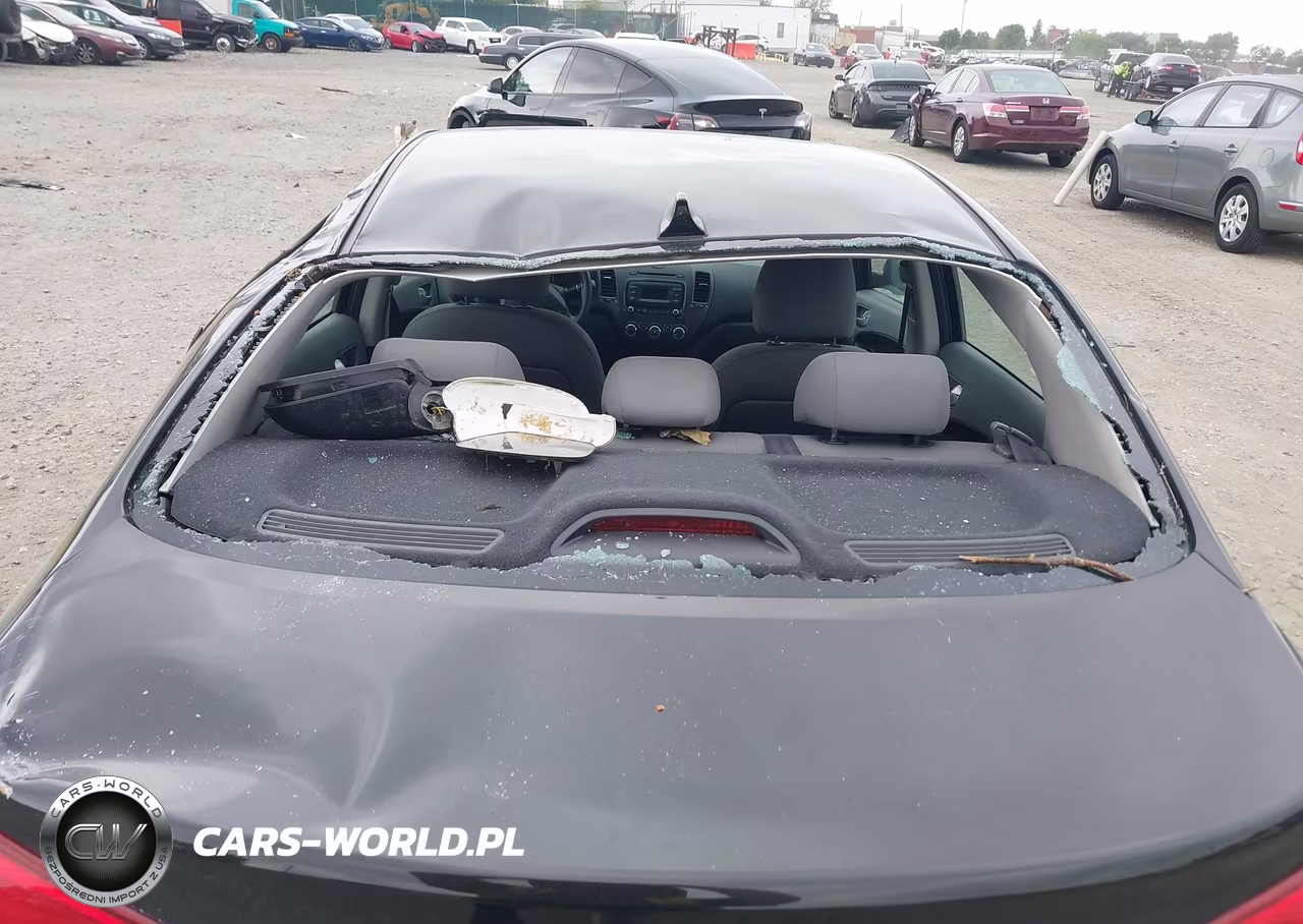 2017 Kia Forte Lx VIN:3KPFK4A77HE061873 - 12