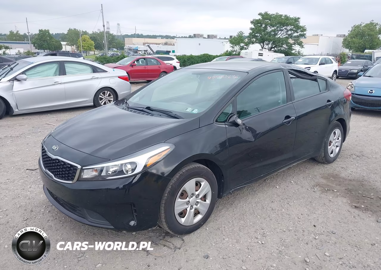 2017 Kia Forte Lx VIN:3KPFK4A77HE061873 - 2