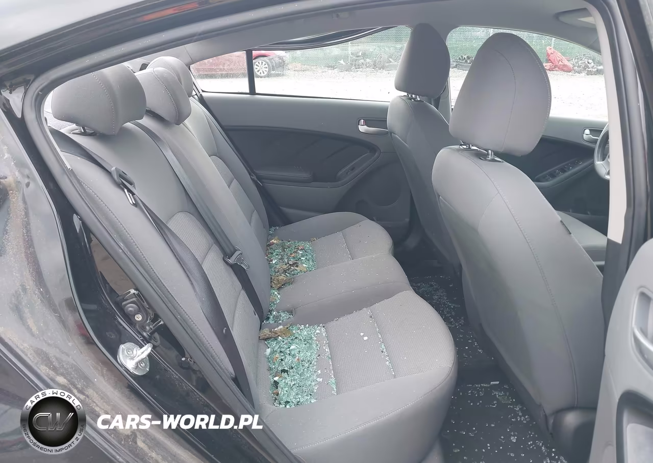 2017 Kia Forte Lx VIN:3KPFK4A77HE061873 - 8