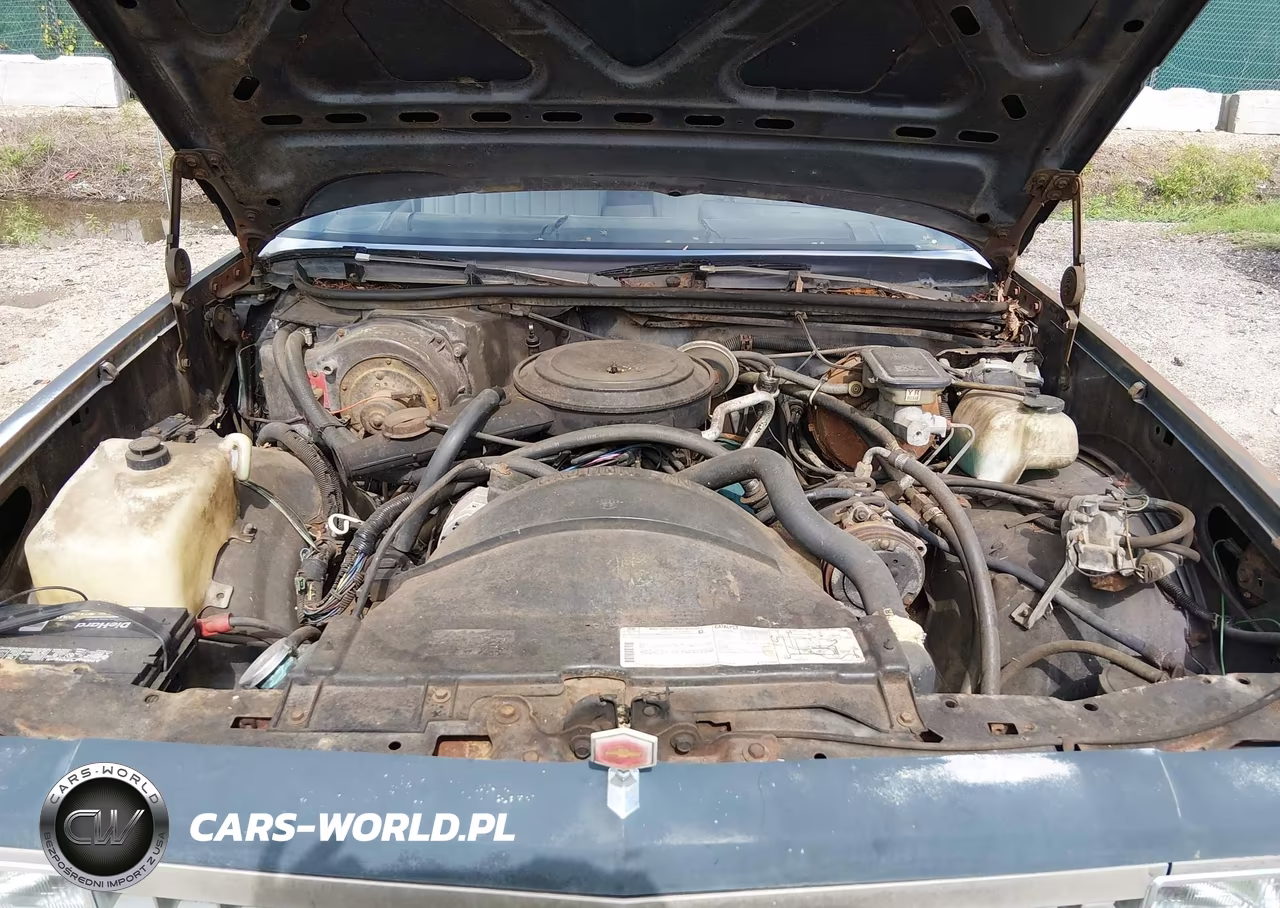 1982 Chevrolet El Camino VIN:1GCCW80K0CR187509 - 10