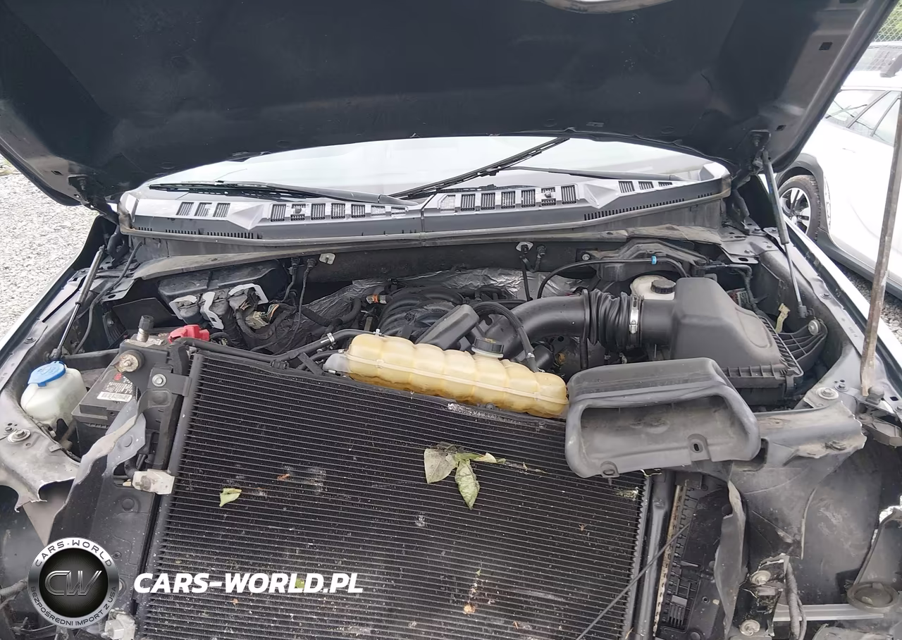 2019 Ford F-150 Xlt VIN:1FTEW1E55KFC18000 - 10