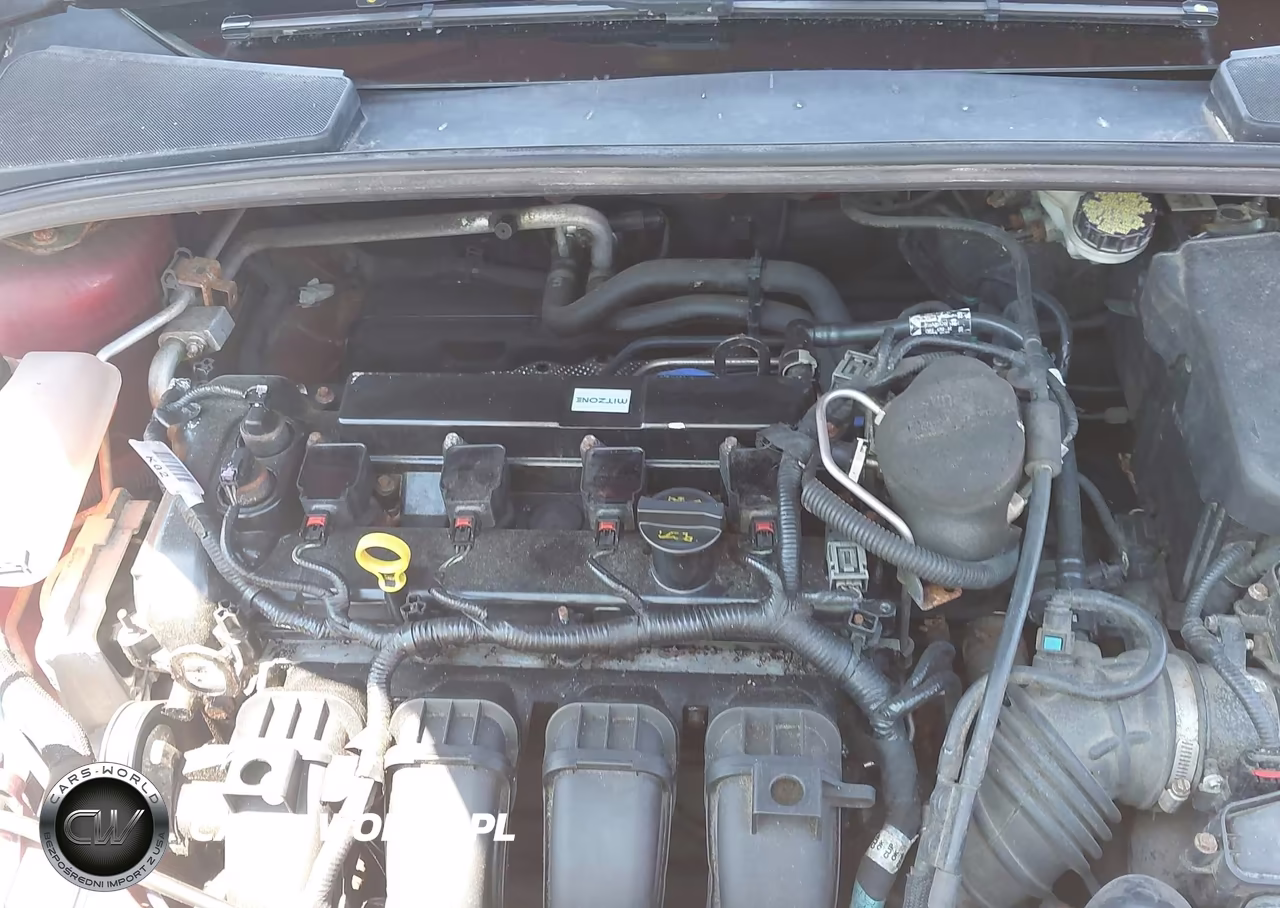 2013 Ford Focus Se VIN:1FADP3F24DL173747 - 10