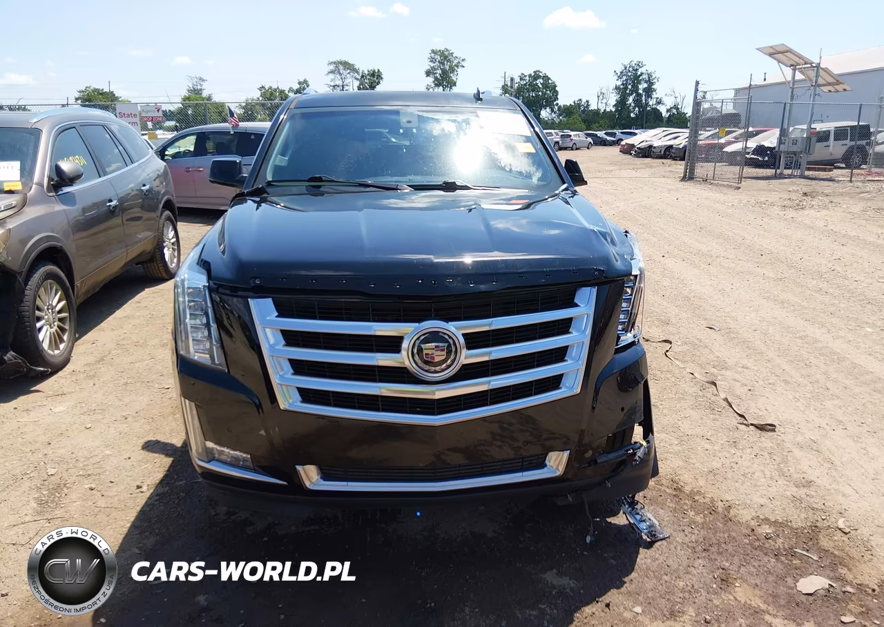 2015 Cadillac Escalade Esv Standard VIN:1GYS4GKJ5FR269850 - 12