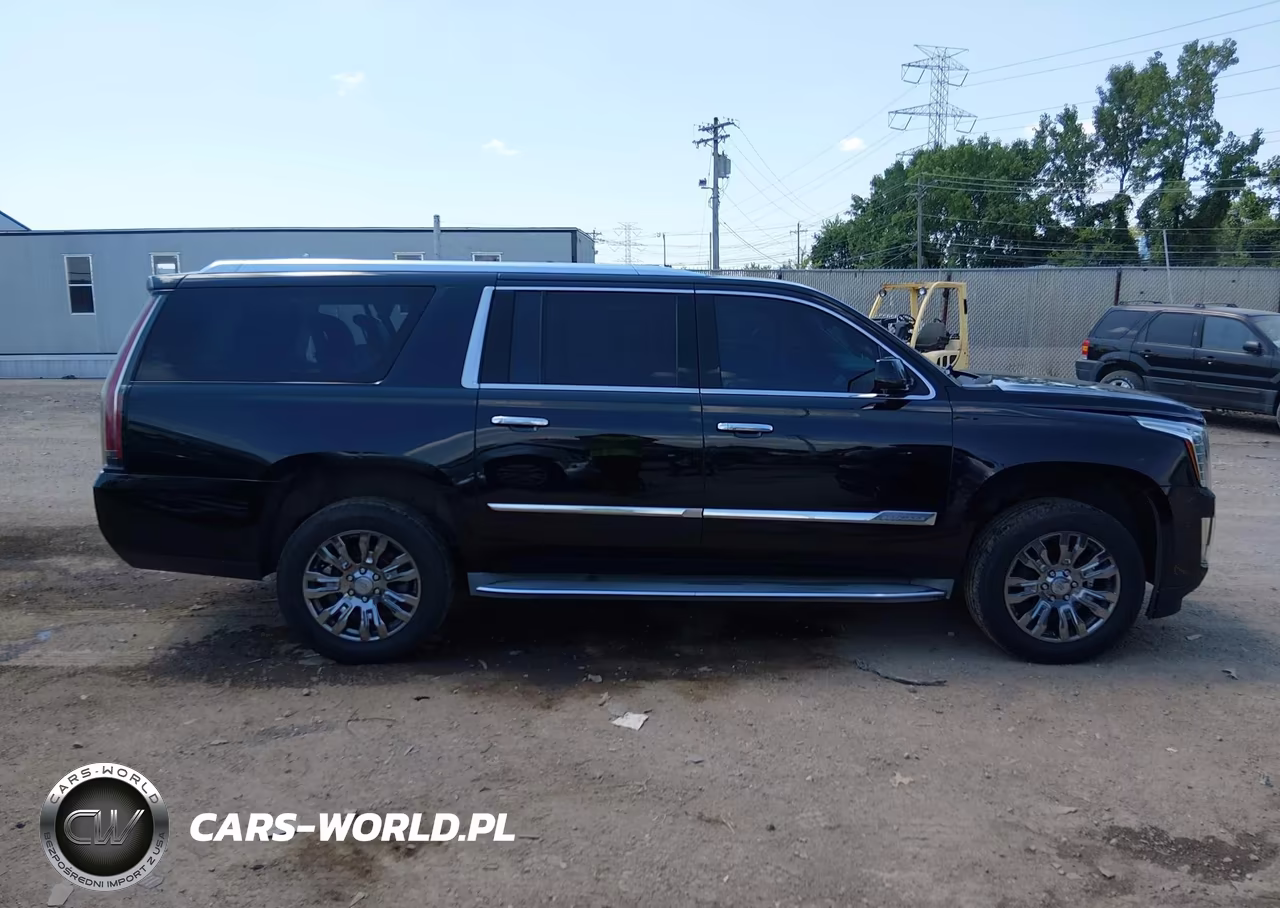 2015 Cadillac Escalade Esv Standard VIN:1GYS4GKJ5FR269850 - 13