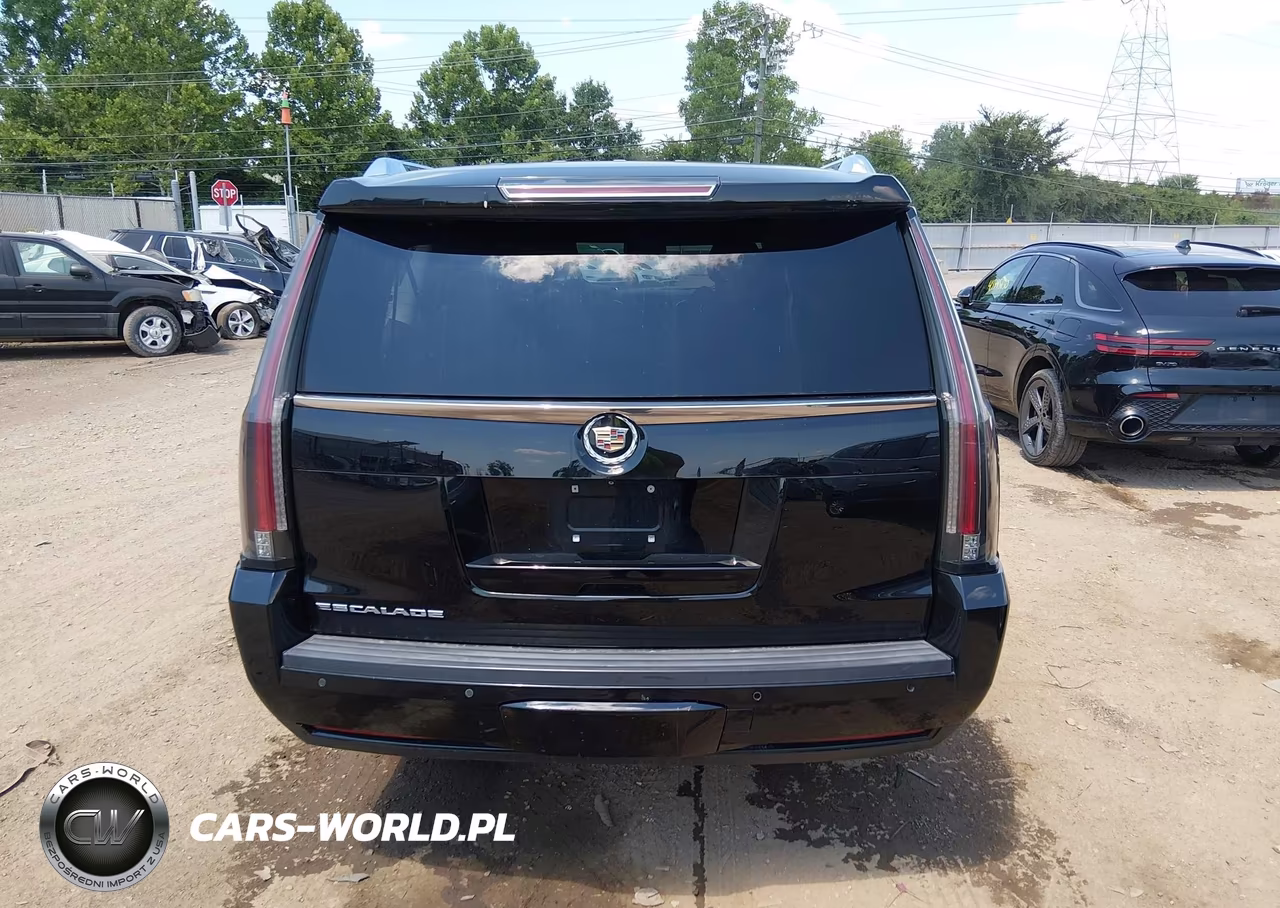 2015 Cadillac Escalade Esv Standard VIN:1GYS4GKJ5FR269850 - 16