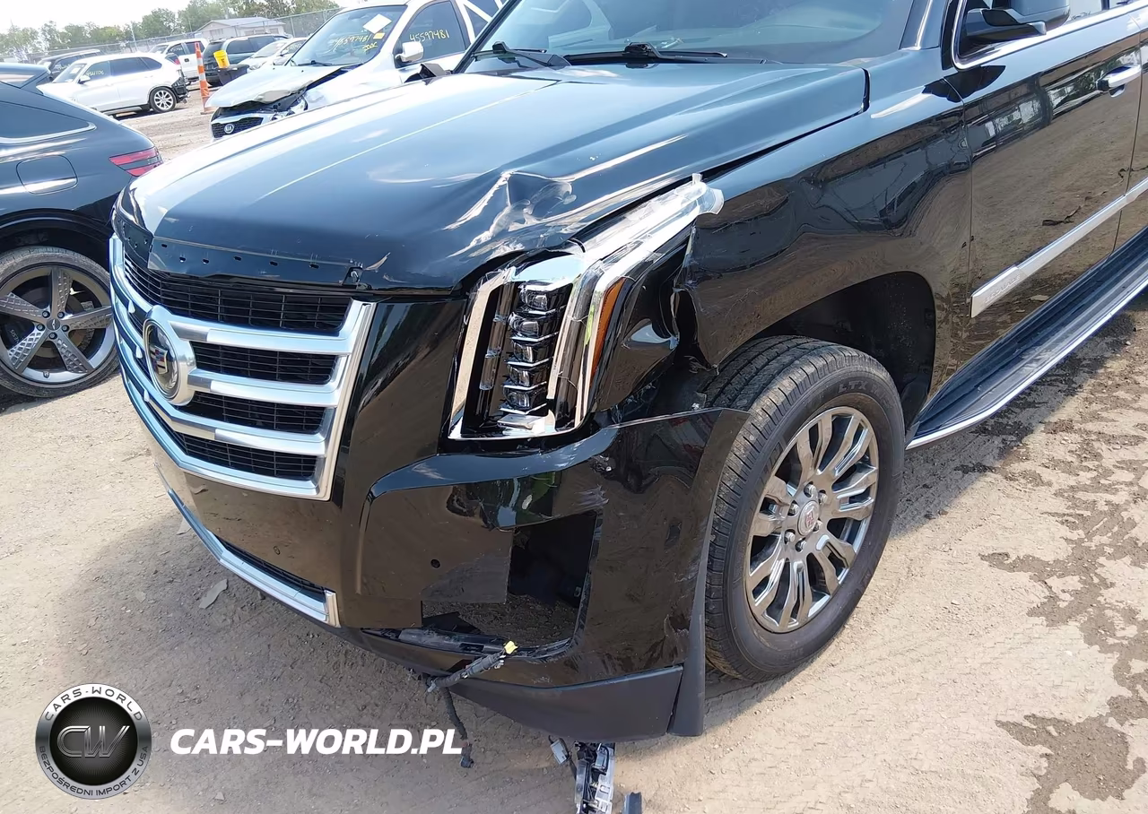 2015 Cadillac Escalade Esv Standard VIN:1GYS4GKJ5FR269850 - 6