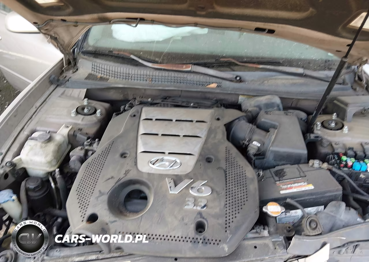 2006 Hyundai Sonata Gls V6-Lx V6 VIN:5NPEU46F86H016875 - 10