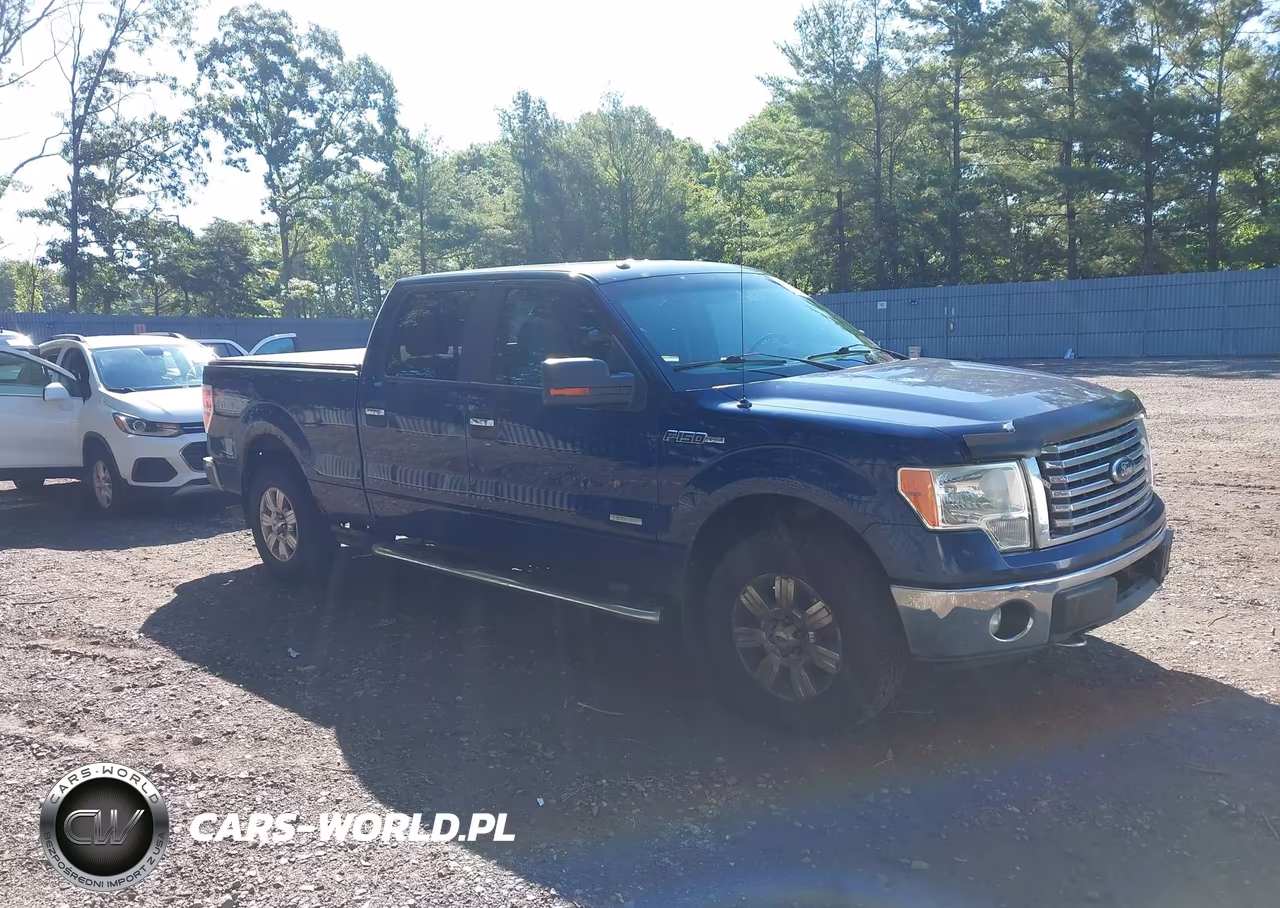 2011 Ford F-150 Xlt – zdjęcie 1 z 16
