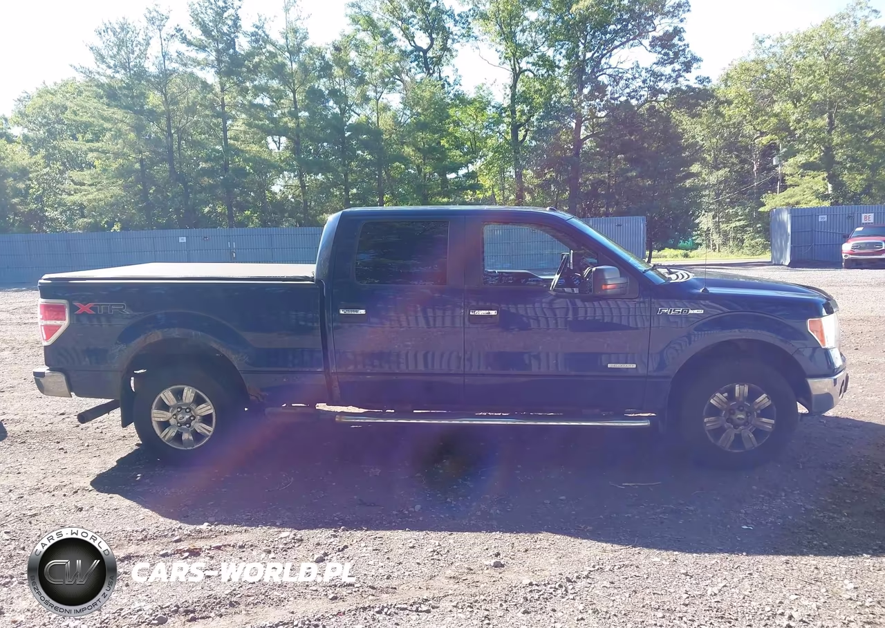 2011 Ford F-150 Xlt VIN:1FTFW1ET1BFC96406 - 13