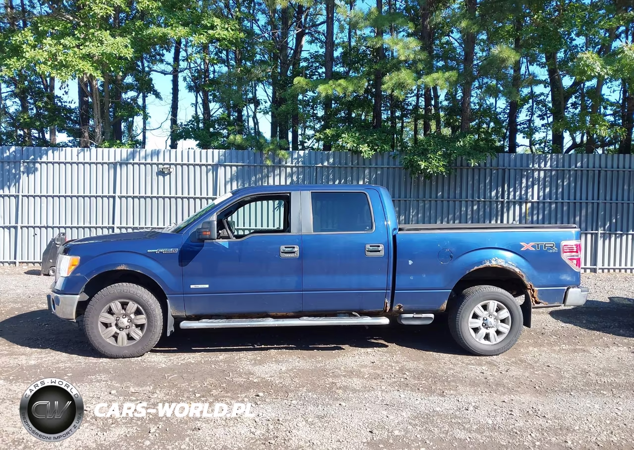 2011 Ford F-150 Xlt VIN:1FTFW1ET1BFC96406 - 14