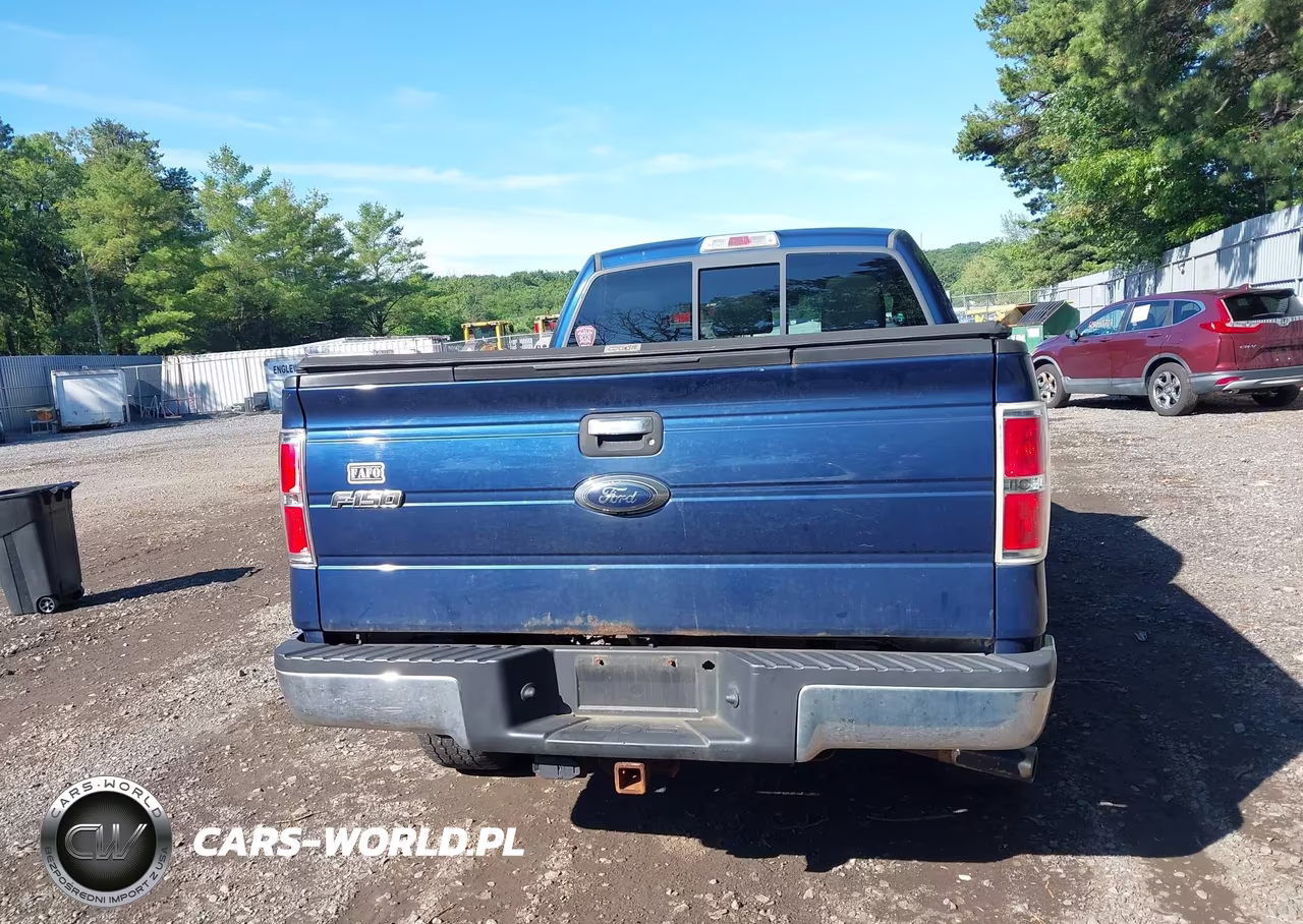 2011 Ford F-150 Xlt VIN:1FTFW1ET1BFC96406 - 16