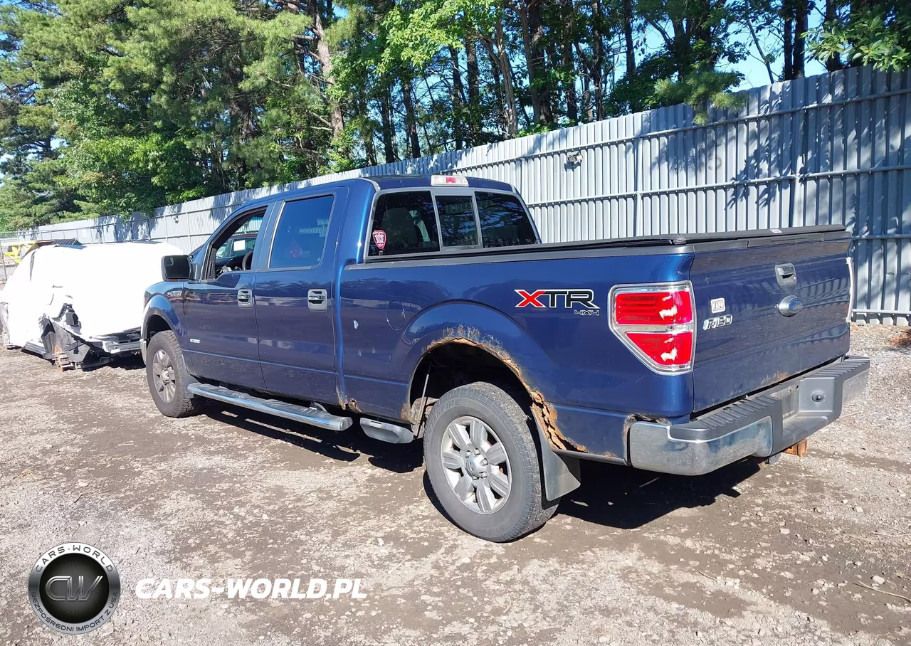 2011 Ford F-150 Xlt VIN:1FTFW1ET1BFC96406 - 3