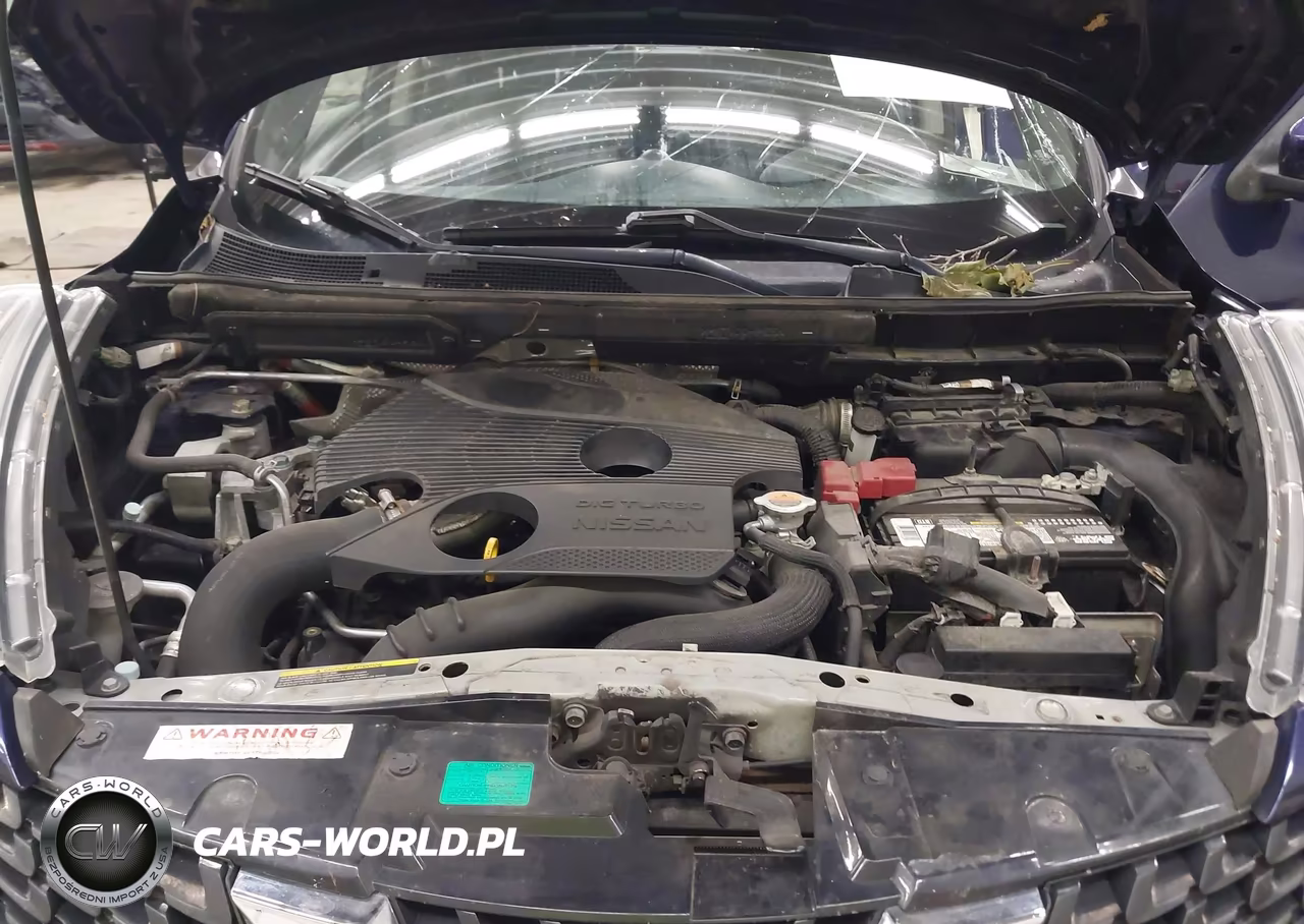 2015 Nissan Juke Sl VIN:JN8AF5MV7FT553567 - 10