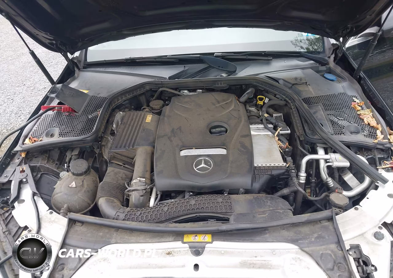 2016 Mercedes-Benz C 300 4Matic VIN:55SWF4KB7GU109791 - 10