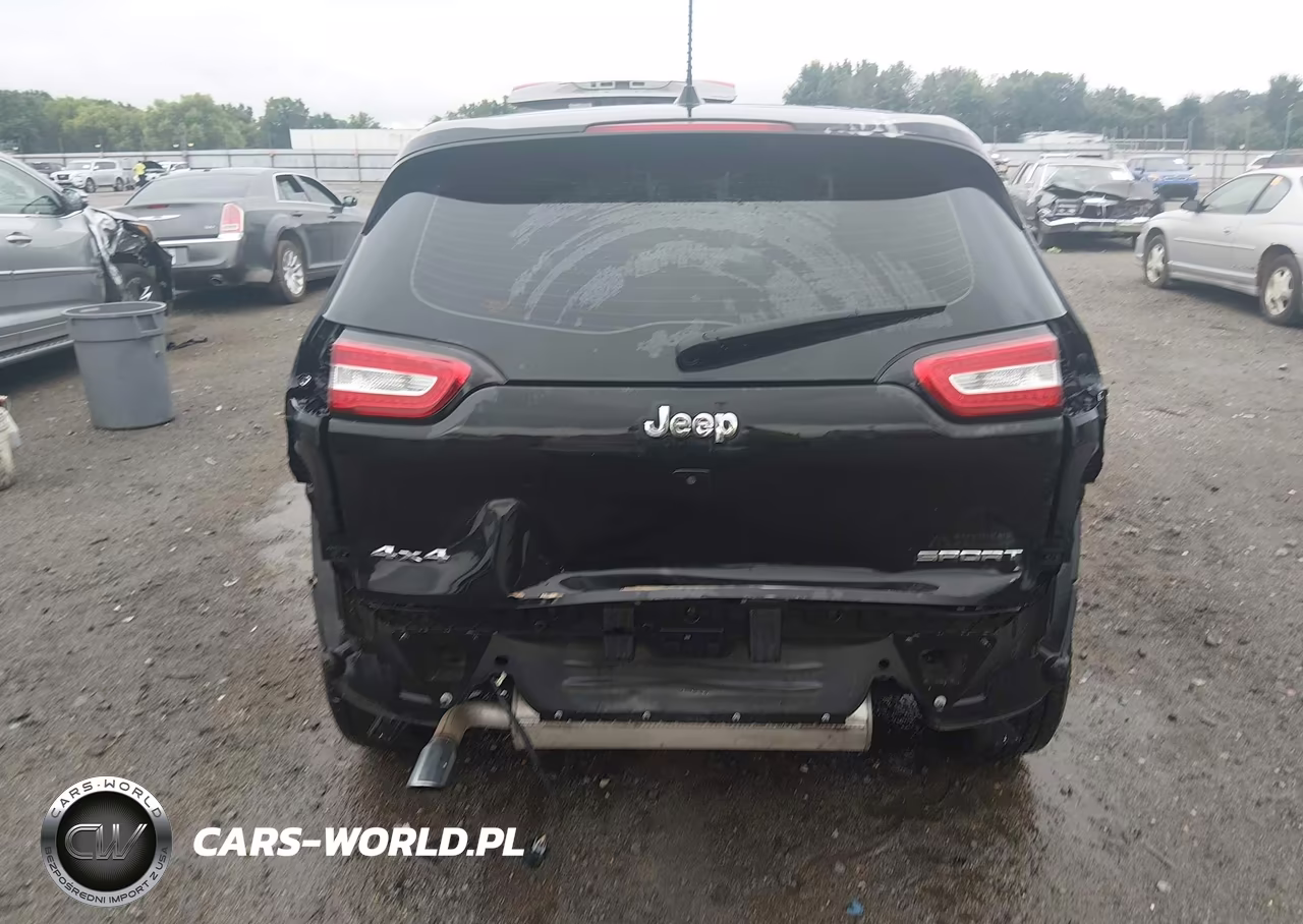 2016 Jeep Cherokee Sport VIN:1C4PJMAB9GW117988 - 17
