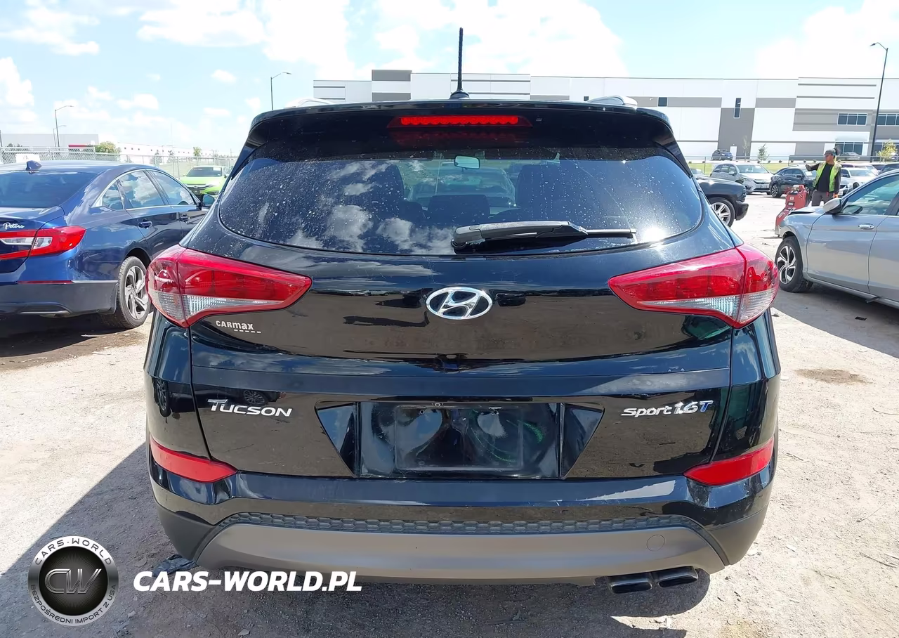 2016 Hyundai Tucson Sport VIN:KM8J33A23GU227114 - 16