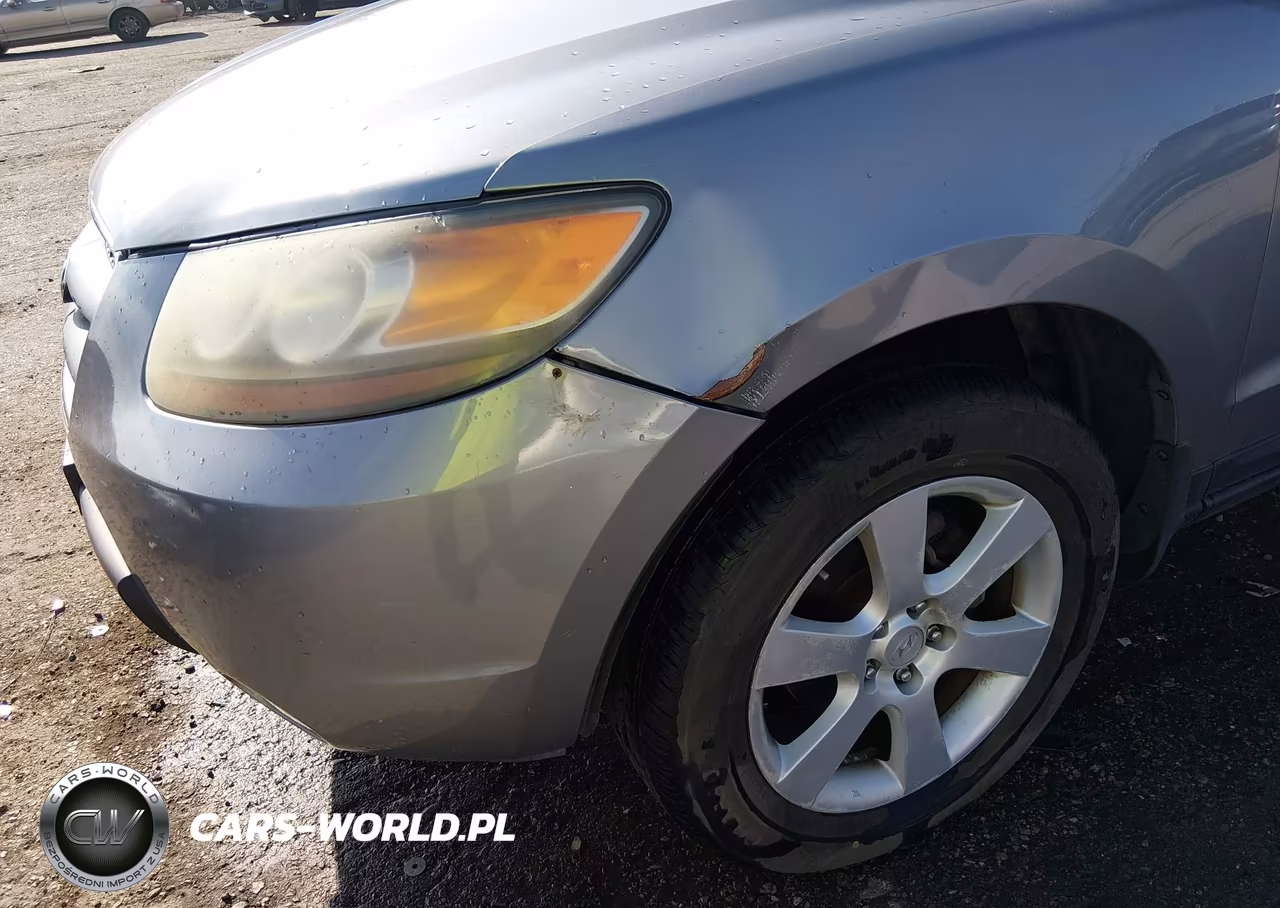 2007 Hyundai Santa Fe Limited-Se VIN:5NMSH73E87H065061 - 6