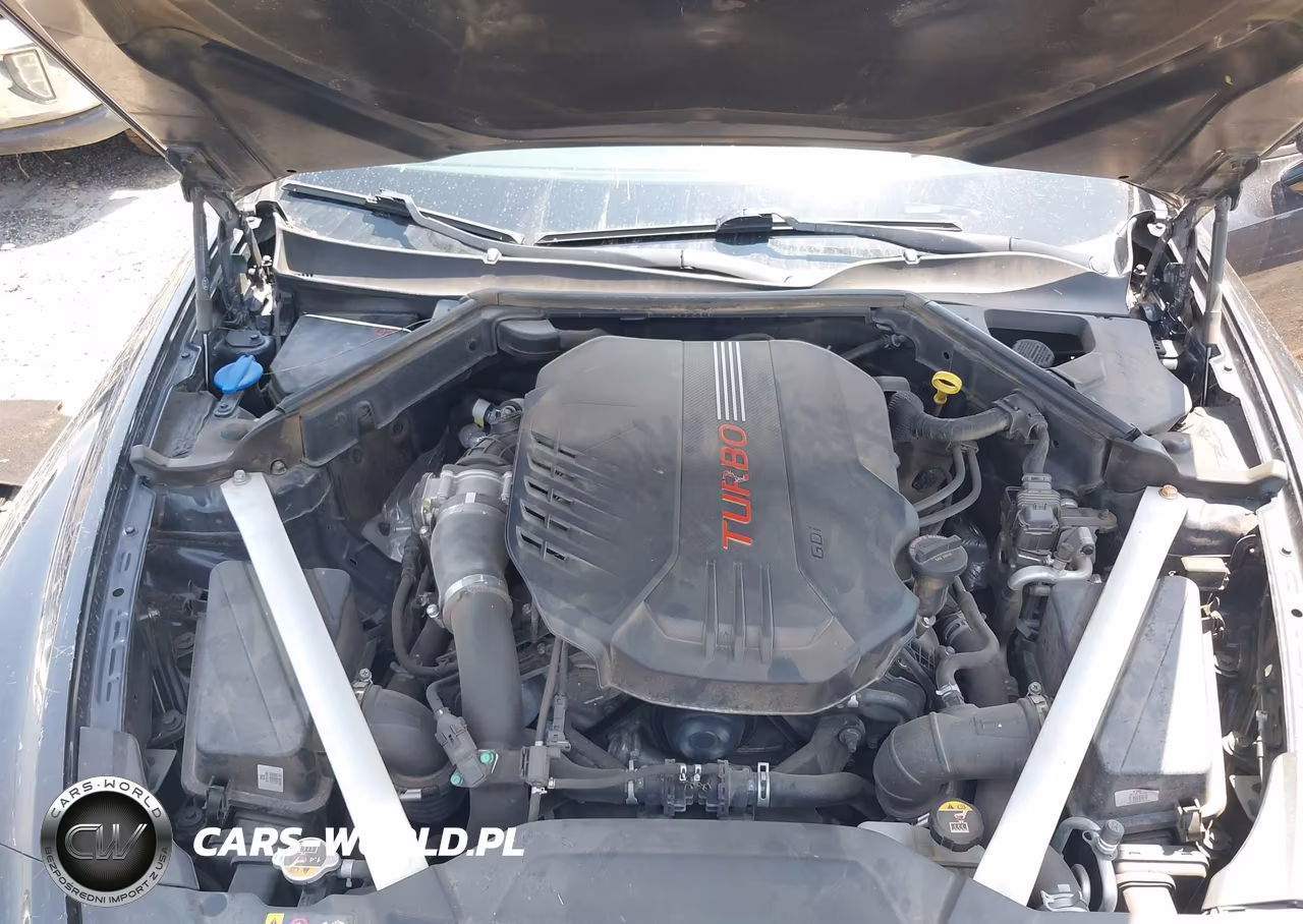 2019 Kia Stinger Gt VIN:KNAE35LC2K6051352 - 10