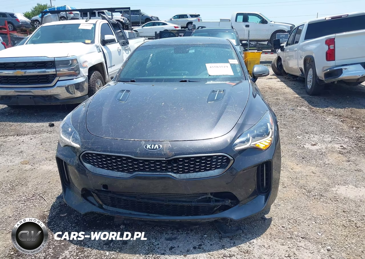 2019 Kia Stinger Gt VIN:KNAE35LC2K6051352 - 12